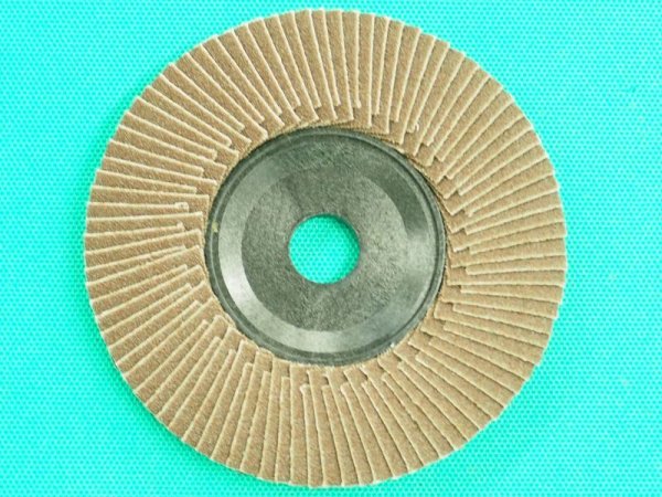 画像2: G&Wペーパーディスク-A 100X15mm #80 (5枚入り)  (2)