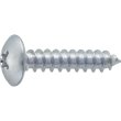 画像1: TRUSCO トラス頭タッピングねじ 1種A 三価白 M5×16 45本入 B742-0516 [285-7391] (1)
