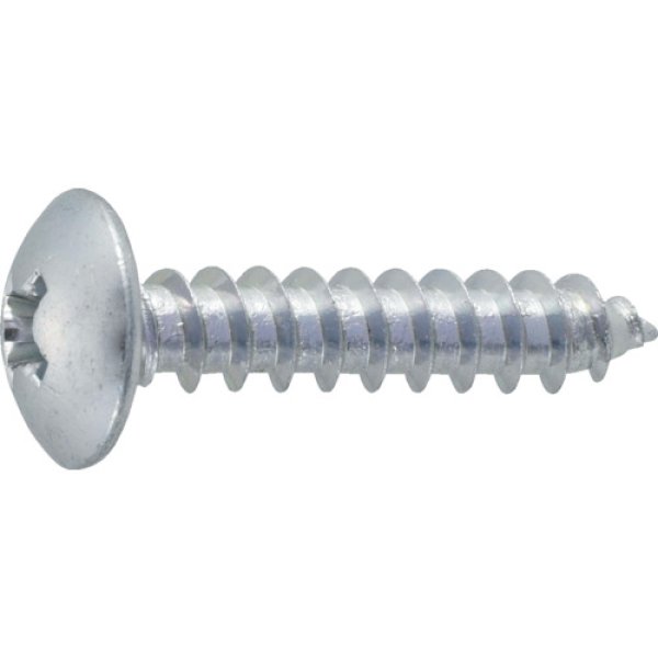 画像1: TRUSCO トラス頭タッピングねじ 1種A 三価白 M5×16 45本入 B742-0516 [285-7391] (1)