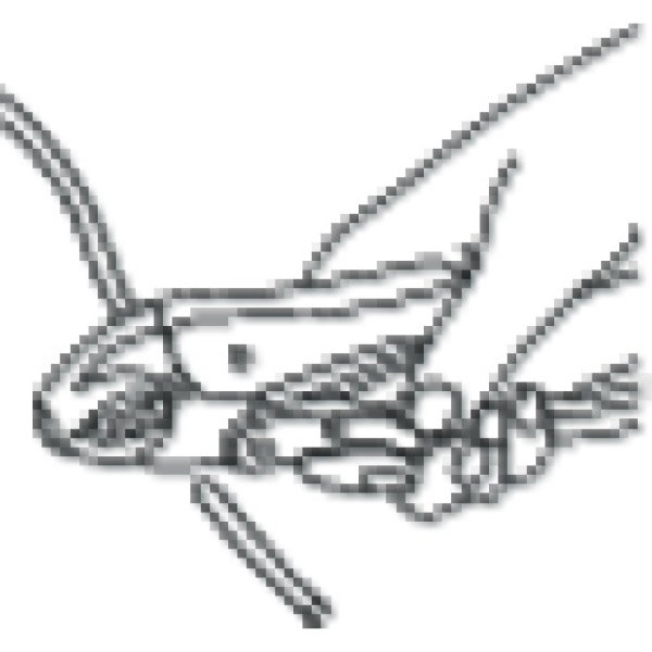 画像3: エビ バイスプライヤー カーブタイプ（カッター付）178mm VW175N [372-6703] (3)