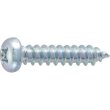 画像1: TRUSCO ナベ頭タッピングねじ 1種A 三価白 M3×8 163本入 B707-0308 [285-6077] (1)