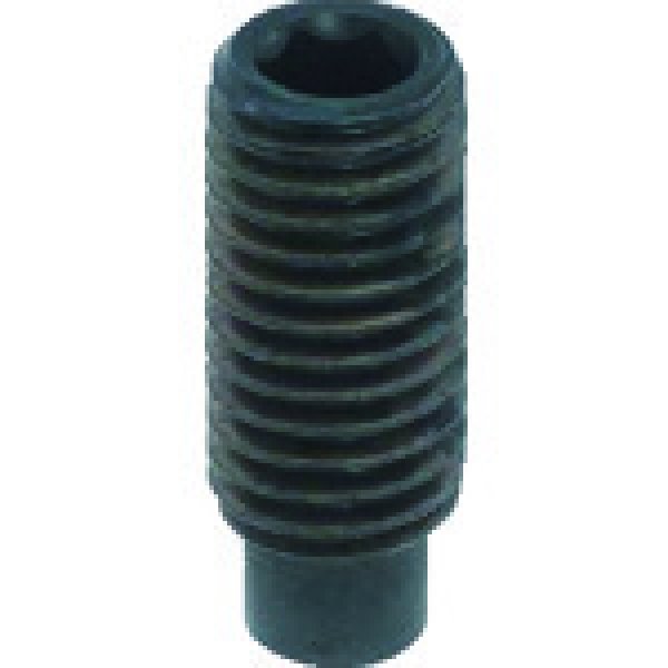 画像1: TRUSCO 六角穴付止めねじ 棒先 スチール M8×15 20本入 Y102-0815 [207-4241] (1)
