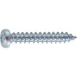 画像1: TRUSCO ナベ頭タッピングねじ 1種A ユニクロ M4×25 110本入 B07-0425 [159-4991] (1)