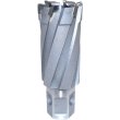 画像1: LBクイックカッター ISK-3QC175〜3QC350 φ17.5〜φ35.0 (超硬刃) 育良精機 (1)