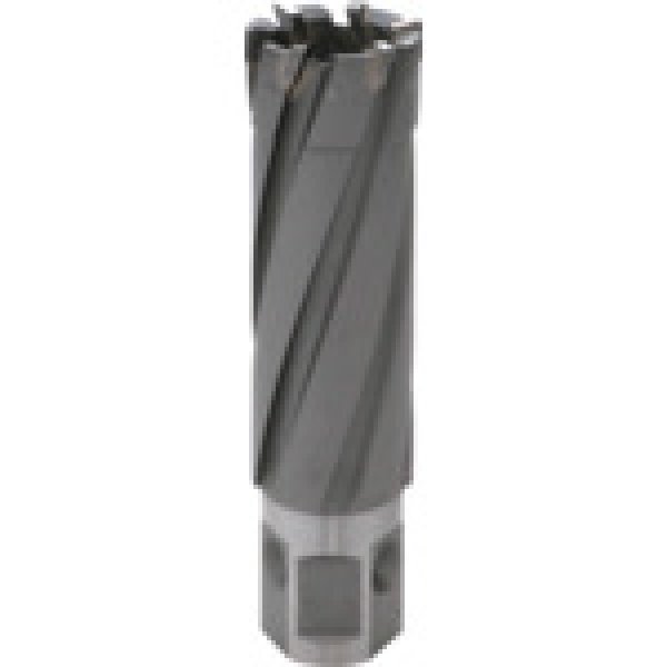 画像2: ライトボーラー用替刃 35QC LBクイックカッター ISK-3QC175〜3QC350 φ17.5〜φ35.0 (超硬刃) 育良精機 (2)