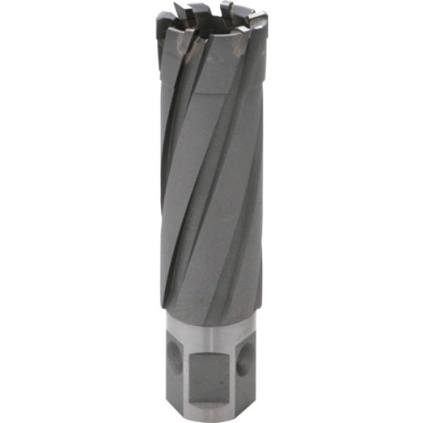 画像1: ライトボーラー用替刃 50QC LBクイックカッター ISK-5QC175〜5QC500 φ17.5〜φ50.0 (超硬刃) 育良精機 (1)