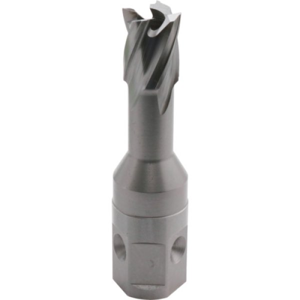 画像1: ライトボーラー用替刃 25QC LBクイックカッター ISK-2QC115〜2QC160 φ11.5〜φ16.0 育良精機 (1)