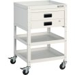 画像1: TRUSCO ツールワゴン ラビットワゴン 500Ｘ550ＸH810 2段引出付 ゴム車輪 ホワイト RBW-853X W [366-3442] (1)