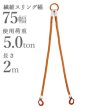 画像1: 2本吊 インカリフティングスリングJIS 5t用×2m 2ILSJ5TX2 1013766 大洋製器 (1)