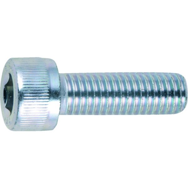 画像1: TRUSCO 六角穴付ボルト 三価白 全ネジ M4×22 28本入 /キャップボルト(CAP) B730-0422 [207-3303] (1)