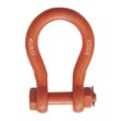 画像1: TAIYO 軽量シャックル RB-50t（1062812）大洋製器 (1)