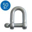 画像1: TAIYO 大洋 捻込シャックル 電気12mm（50個入）NGS-12EP 3015376 大洋製器 (1)