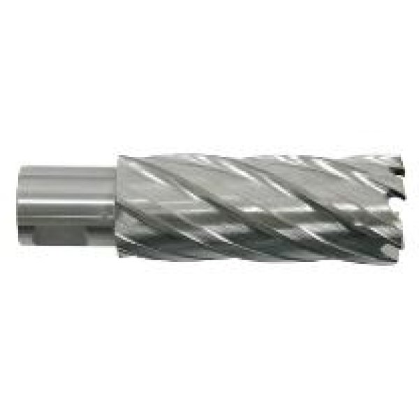 画像1: ライトボーラー用 重ね合わせ刃 穴径φ18〜26.5 深さｔ6〜50 HRSQ180~265 育良精機 (1)