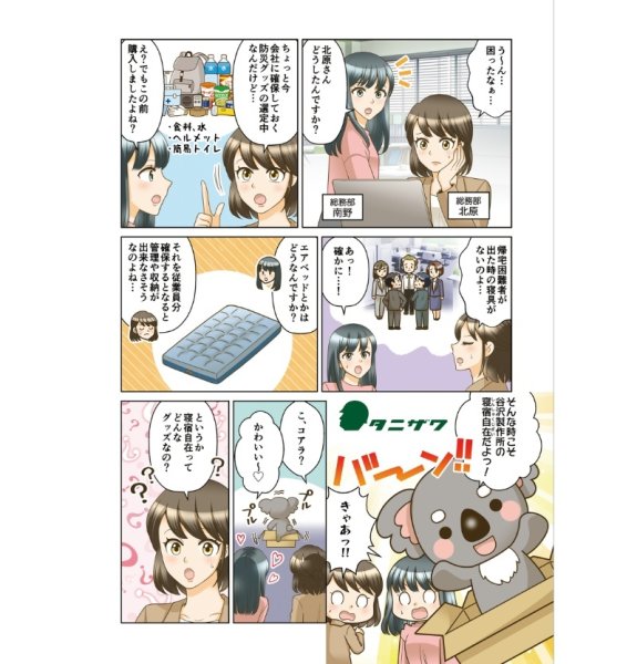 画像2: 【4人分】防災用寝具セット ST#9101 寝宿自在 宿泊 社内泊 オフィス 災害 緊急時 備蓄アイテム タニザワ (2)