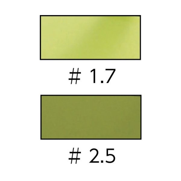 画像2: TRUSCO 曇り止め遮光メガネ#1.7 TPK200-17 [484-6290] (2)