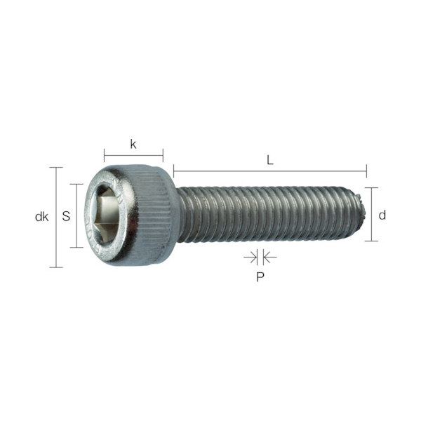 TRUSCO 六角穴付ボルト ニッケルメッキ 全ネジ M6×10 33本入 /キャップボルト(CAP) Y154-0610 [115-7448]