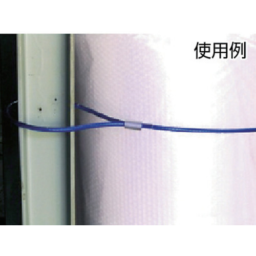 TRUSCO メッキ付ワイヤーロープ PVC被覆タイプ Φ2(3)mmX200m CWP-2S200 [489-1180]