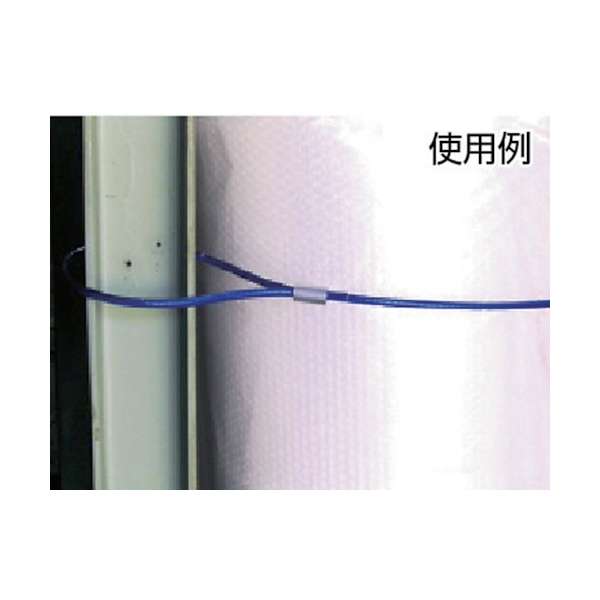 TRUSCO メッキ付ワイヤーロープ PVC被覆タイプ Φ9(11)mmX30m CWP-9S30 [856-0819]